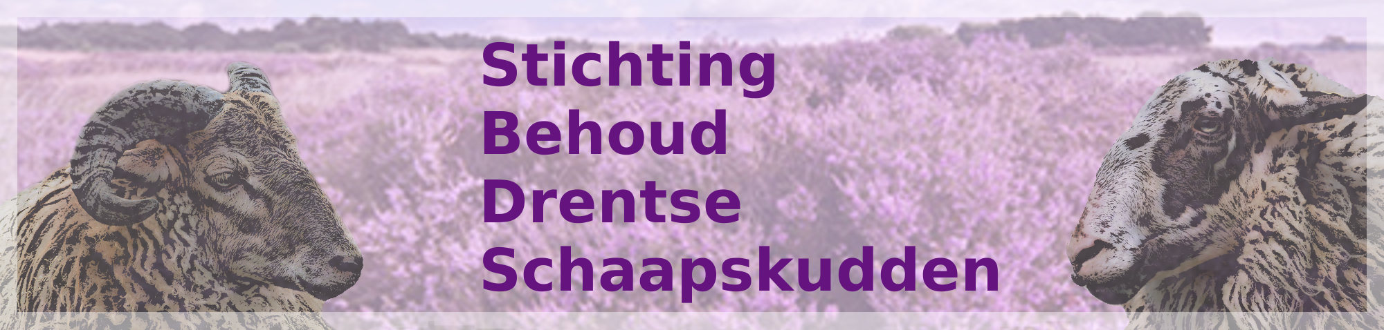 Stichting Behoud Drentse Schaapskudden