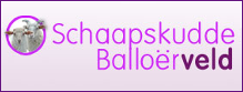 Logo Balloerveld