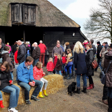 Kroamschudden op lammetjesdag