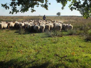 AK sept pingo-emmen 2015 028