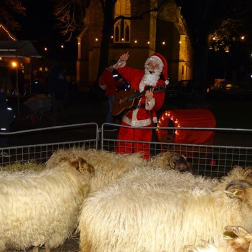 Decemberdrukte bij de schaapskooien